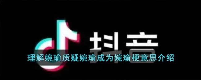 理解婉瑜质疑婉瑜成为婉瑜梗意思介绍