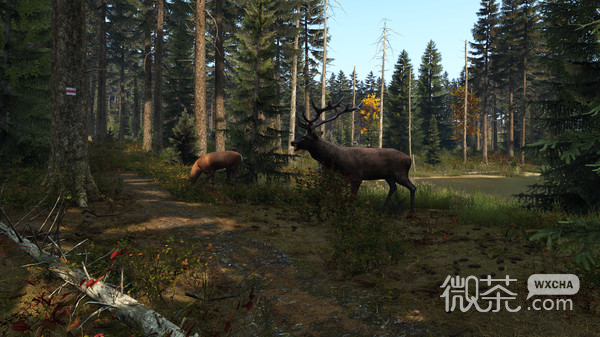 DayZ僵尸末服务器连接错误怎么办详情