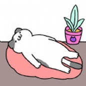 喵喵合成屋安卓下载