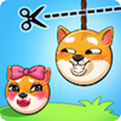 围绳小狗免费正版