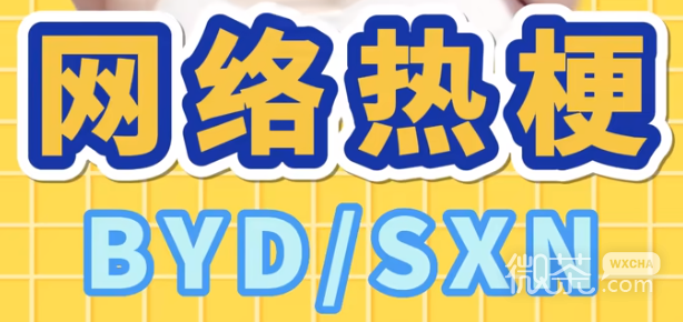 byd/sxn梗是什么意思详情