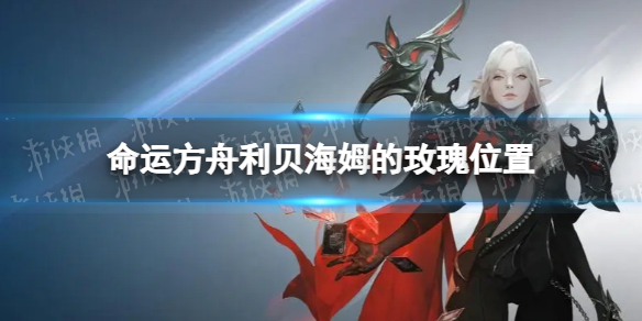 《命运方舟》利贝海姆的玫瑰在哪？ 利贝海姆的玫瑰位置