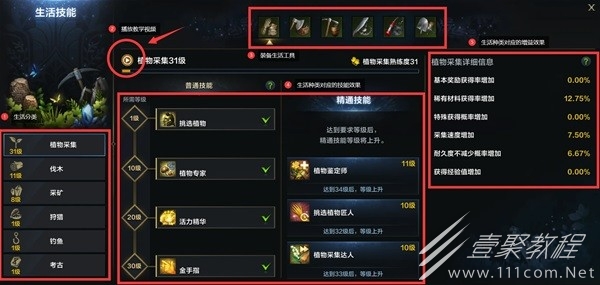 命运方舟生活系统介绍