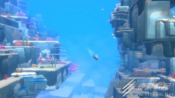 潜水员戴夫捉虾方法分享