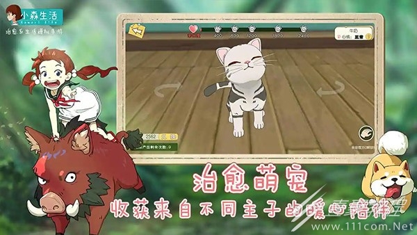小森生活亚服连接错误解决办法