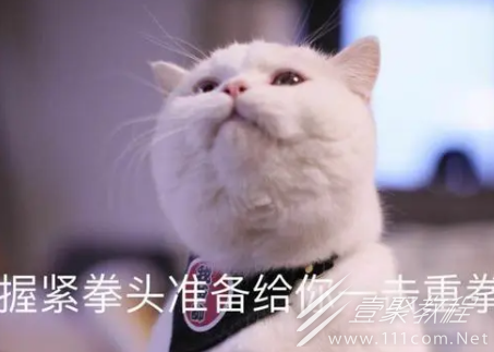 那马户又鸟梗的含义是什么