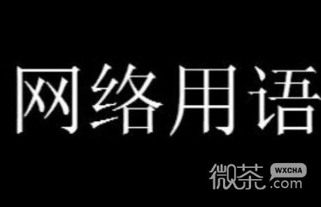 zzr梗是什么意思详情