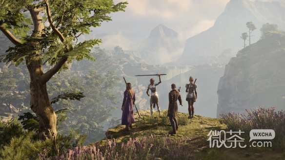 博德之门3圣武士种族推荐攻略