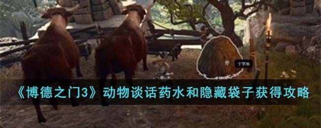 《博德之门3》动物谈话药水和隐藏袋子获得攻略