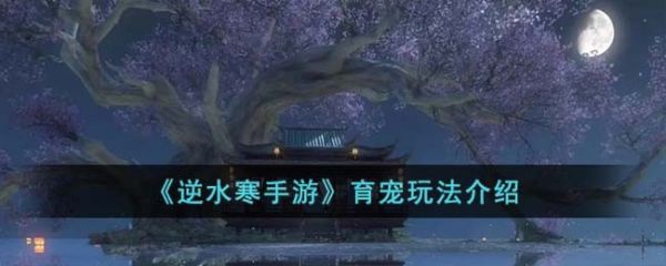 逆水寒手游育宠玩法介绍