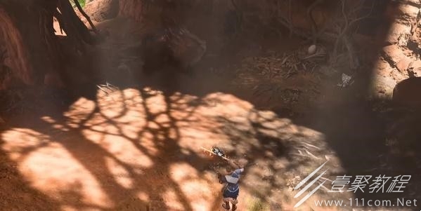 博德之门3枭熊蛋怎么获得