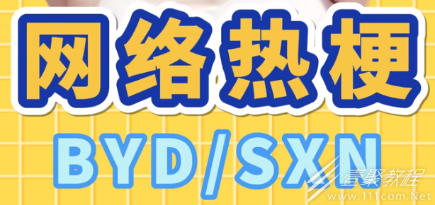 byd/sxn梗含义一览