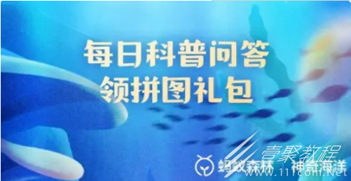 支付宝神奇海洋8.22最新答案一览