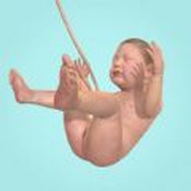 生命起源游戏下载