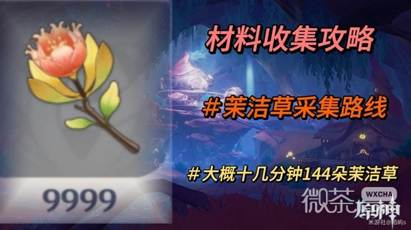 原神4.0版本茉洁草采集路线一览