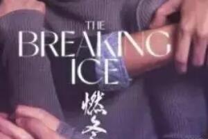 燃冬票房就像豆汁儿梗是什么意思详情