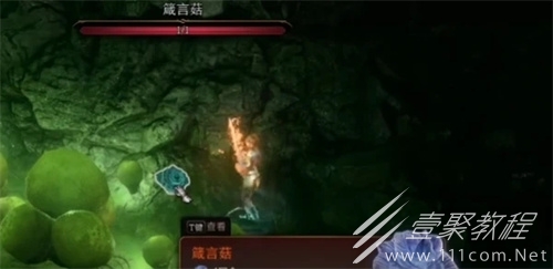 博德之门3箴言菇说明