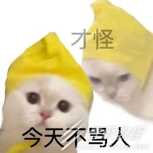 oi梗的含义是什么