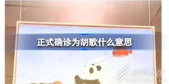 正式确诊为胡歌梗含义介绍
