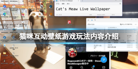 《猫咪互动壁纸》游戏玩法内容介绍 游戏有哪些玩法？