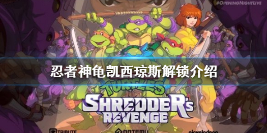 《忍者神龟施莱德的复仇》凯西琼斯怎么解锁？新角色解锁介绍