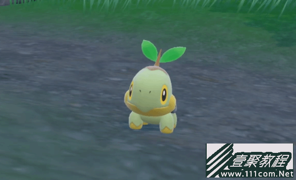 宝可梦朱紫神奥御三家获取指南