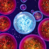 无尽宇宙模拟安装