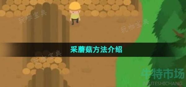 《捣蛋大脚怪》采蘑菇方法分享
