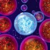 无尽宇宙模拟最新版