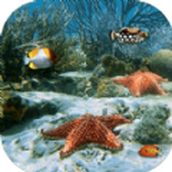 大鱼我不怕你下载安装