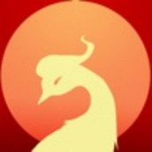 女帝的日常安卓下载