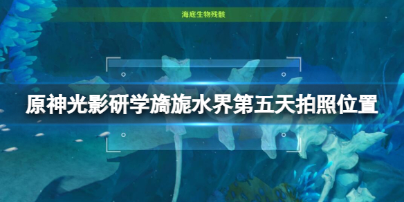 《原神》光影研学旖旎水界第五天拍照位置