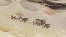 逸剑风云决昏鸦尽怎么获取逸剑风云决昏鸦尽获取方法