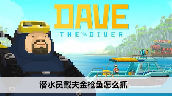 潜水员戴夫金枪鱼怎么抓潜水员戴夫金枪鱼捕捉方法