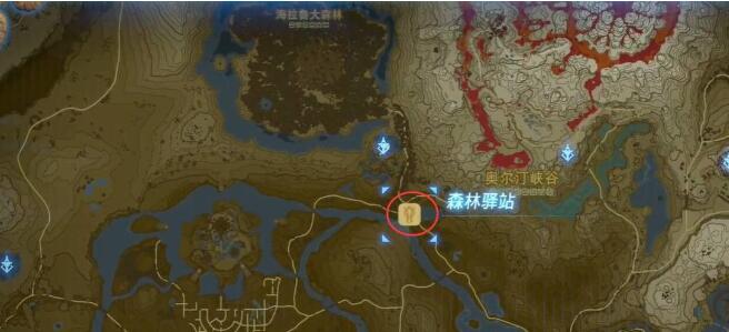 《塞尔达传说王国之泪》森林驿站位置介绍