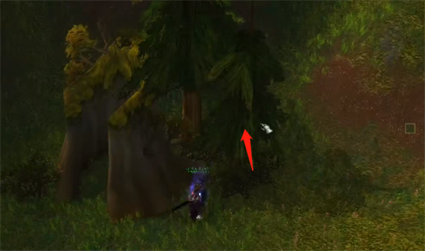 《魔兽世界》噩梦藤采集时点说明