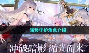 《光隙解语》强势守护角色介绍