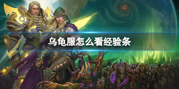 《魔兽世界》乌龟服经验条查看方法
