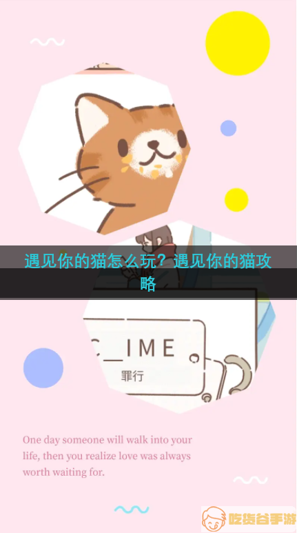 遇见你的猫怎么玩