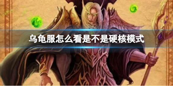 《魔兽世界》乌龟服查看硬核模式方法