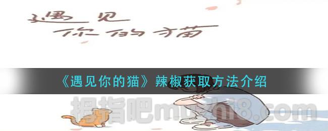 《遇见你的猫》辣椒采集方法介绍