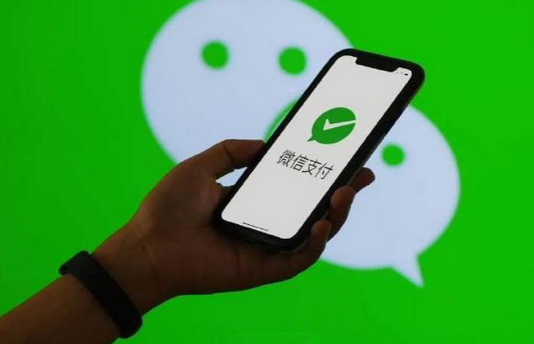 《宝可梦朱紫》四大神兽介绍