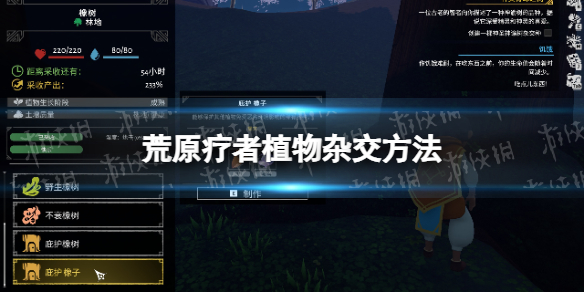 《荒原疗者》植物怎么杂交？ 植物杂交方法