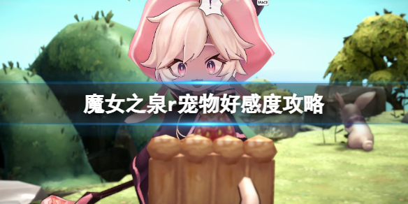 《魔女之泉R》宠物好感度攻略 宠物喜欢什么？