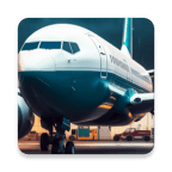 航空公司经理版