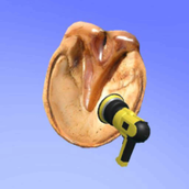 马蹄清洁下载安装