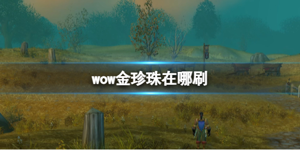 《魔兽世界》金珍珠获取方法