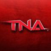 tna拳击大赛手机版