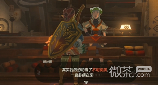 塞尔达传说王国之泪老奶奶治病药方是什么详情