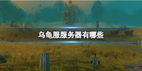 《魔兽世界》乌龟服服务器列表